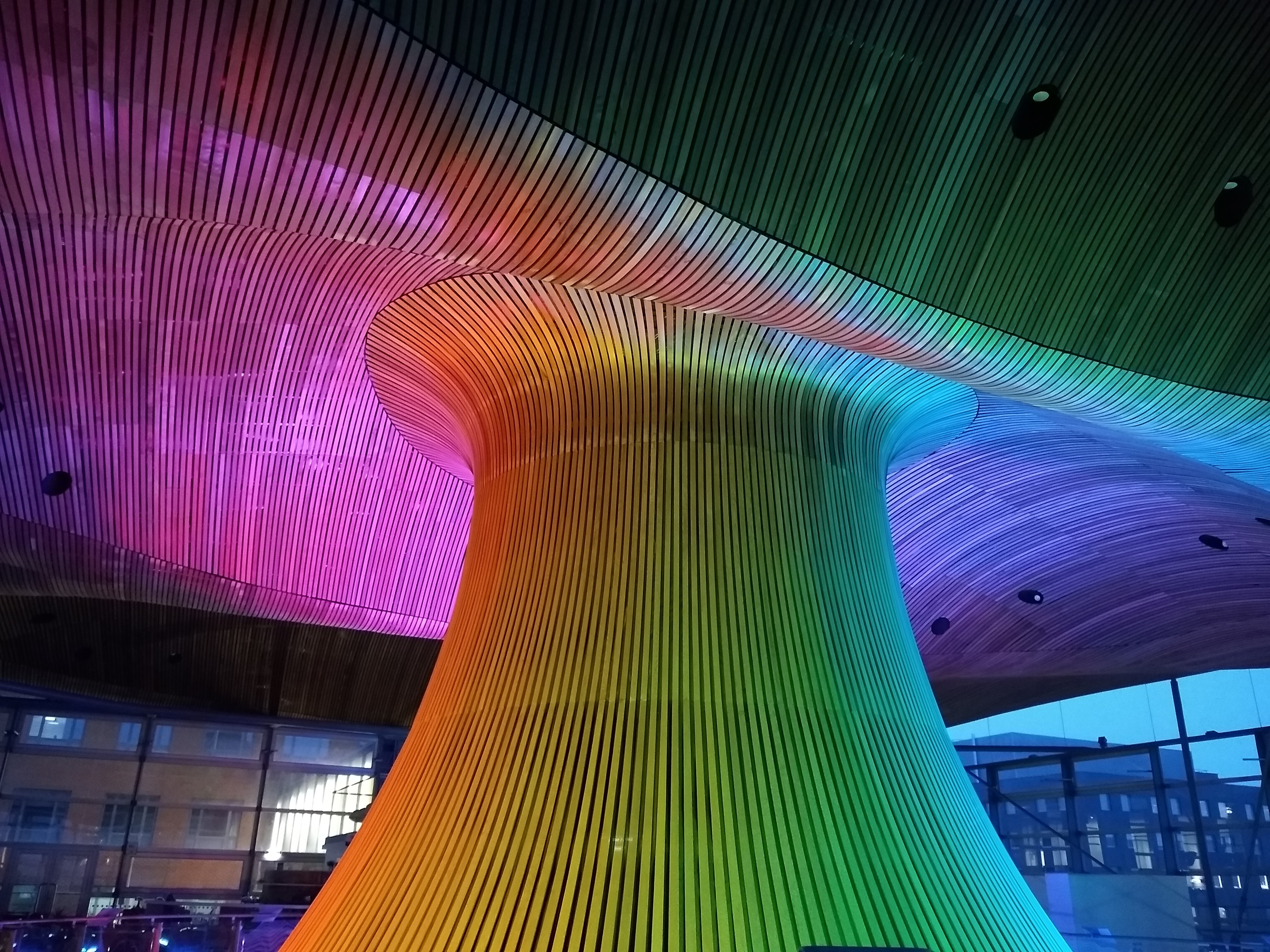 The ceiling of the Senedd building lit up in rainbow colours.